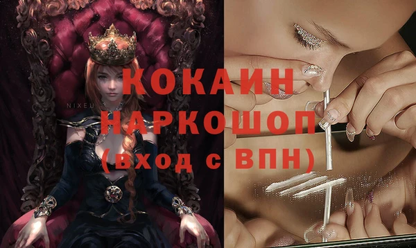 spice Билибино