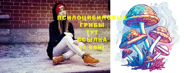 метадон Пестово