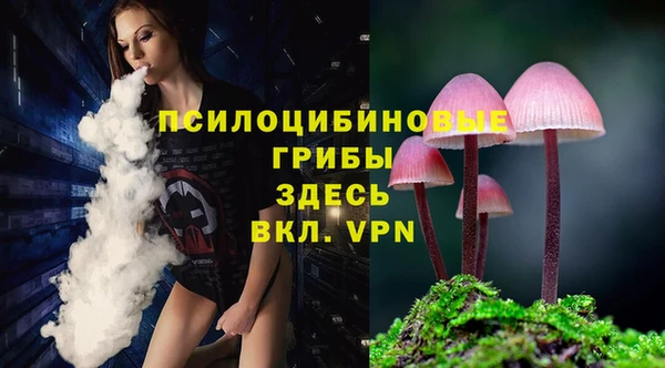 метадон Пестово