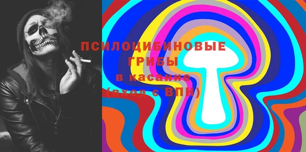 гидропоника Пересвет