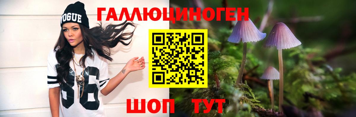 Псилоцибиновые грибы GOLDEN TEACHER Шахты